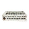 Recambio de culata para fiat ducato caja cerrada 33 (06.2006 =>) l1h1 120 multijet referencia OEM IAM 50229500  