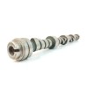 Recambio de arbol de levas para land rover range rover (lp) hse (165kw) referencia OEM IAM ERR5250  
