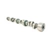 Recambio de arbol de levas para land rover range rover (lp) hse (165kw) referencia OEM IAM ERR5250  