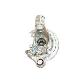 Recambio de mangueta trasera izquierda para land rover evoque 2.2 td4 cat referencia OEM IAM BJ325A969AD  