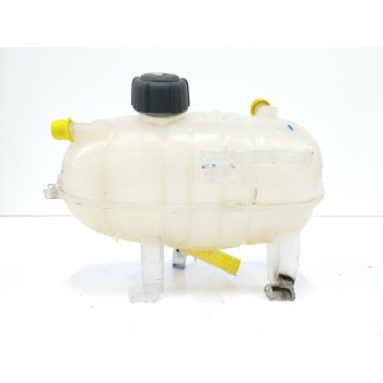 DEPOSITO EXPANSION 217102742R 