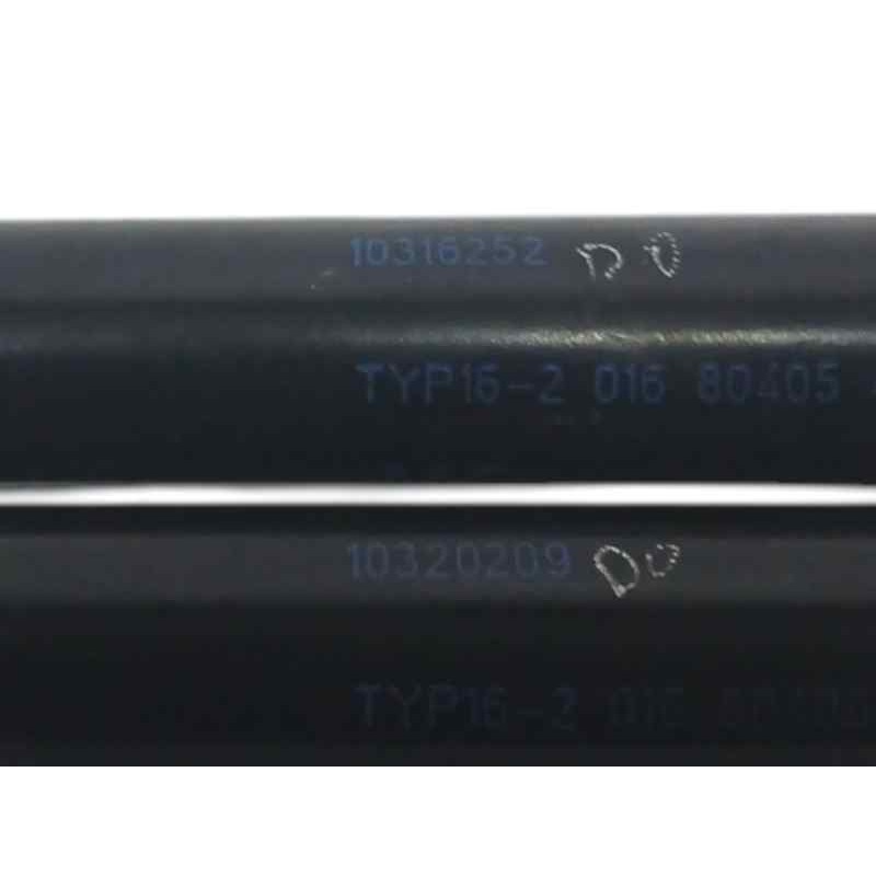 AMORTIGUADORES MALETERO / PORTON 10316252