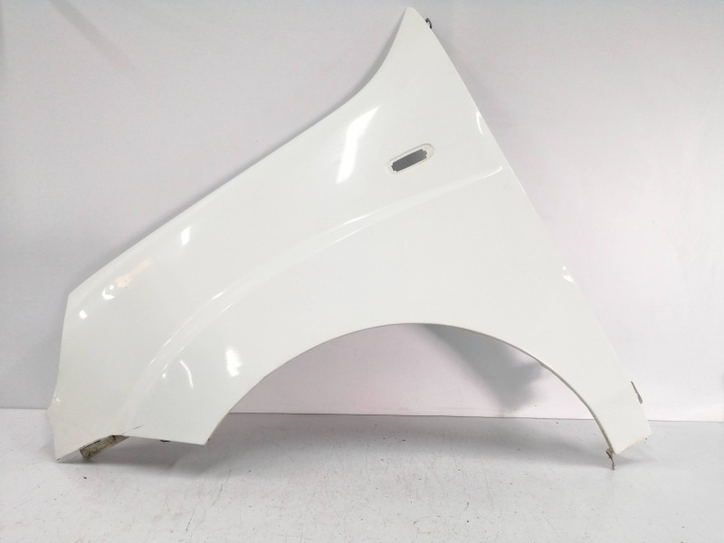Recambio de aleta delantera izquierda para fiat doblo (119) 1.3 16v jtd cat referencia OEM IAM   