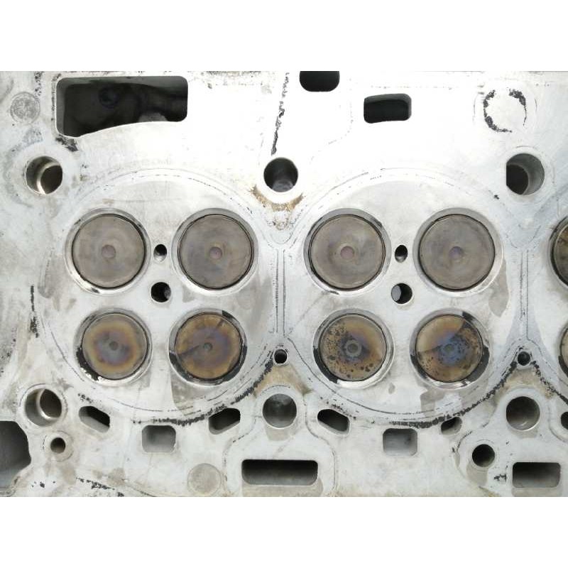 CULATA 7797676 778109304