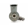 Recambio de inyector para renault megane ii coupe/cabrio luxe privilege referencia OEM IAM 8200100272 0445110110 