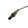 Recambio de sonda lambda para ford ka (ccu) 1.2 8v cat referencia OEM IAM 55249875  