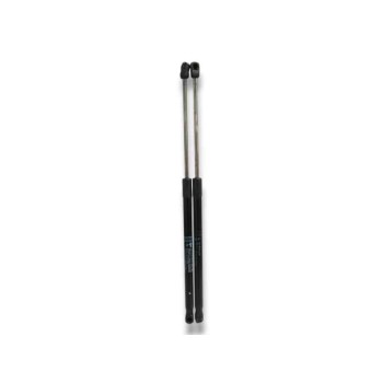 AMORTIGUADORES MALETERO / PORTON 904531EA1C 
