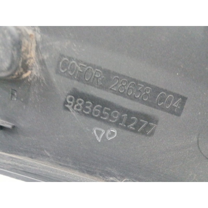 ALETIN TRASERO IZQUIERDO