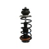 Recambio de amortiguador delantero izquierdo para dacia duster 1.6 16v cat referencia OEM IAM 543026656R  