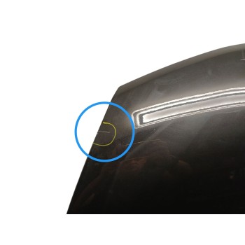 Recambio de capot para nissan juke (f15) 1.5 dci referencia OEM IAM F5100BA6MA  