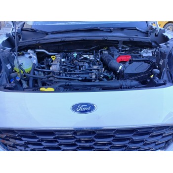 ford puma (j2k, cf7) del año 2022