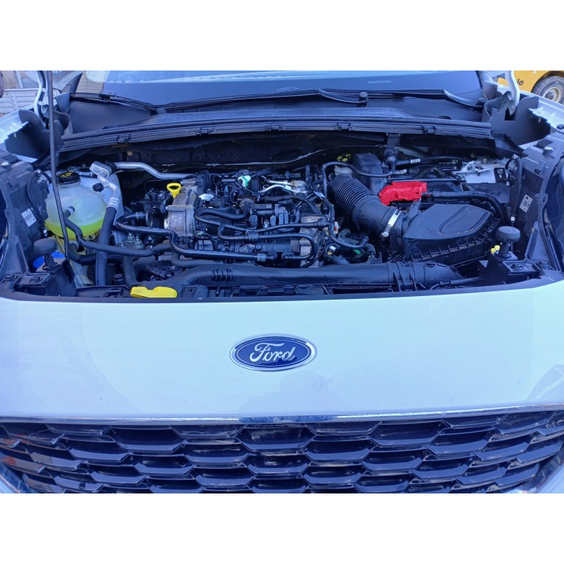 FORD PUMA (J2K, CF7) 2022