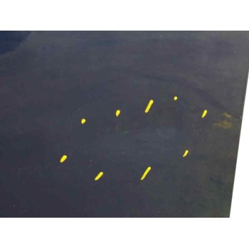 Recambio de puerta delantera izquierda para toyota prius 1.8 hybrid zvw50,zvw51,zvw50r referencia OEM IAM 6700247160 OBSERVAR FO