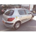 PEUGEOT 307 (S1)