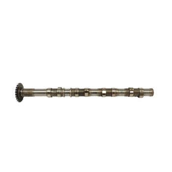 Recambio de arbol de levas para kia sorento 2.5 crdi cat referencia OEM IAM  ESCAPE 