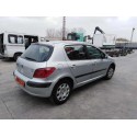 PEUGEOT 307 (S1)