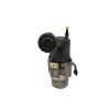 Recambio de bomba direccion para citroën c4 berlina 1.6 16v cat (nfu / tu5jp4) referencia OEM IAM 9681545980  