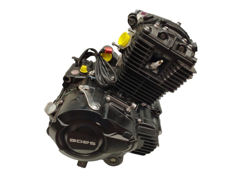 Recambio de motor para goes sk125 22 referencia OEM IAM SK157FMI 8163 KM SK157FMID