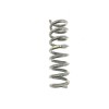 Recambio de muelle amortiguacion para bmw serie 4 cabrio (f33) 2.0 referencia OEM IAM  TRASERO 