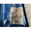 Recambio de carroceria corte para seat ibiza (6k1) 1.4 referencia OEM IAM   