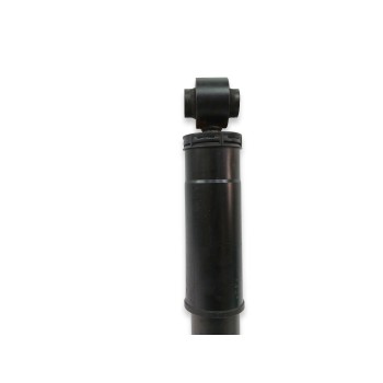 Recambio de amortiguador trasero derecho para renault master kasten 2.3 dci diesel cat referencia OEM IAM 562106844R  