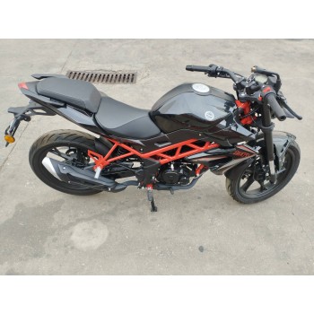 benelli bn del año 2023