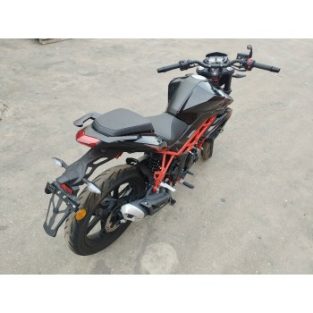 benelli bn del año 2023