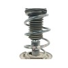 Recambio de amortiguador delantero derecho para renault megane iv berlina 5p 1.3 tce referencia OEM IAM 543025368R  