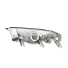 Recambio de piloto delantero izquierdo para iveco daily furgón 2.3 diesel referencia OEM IAM 5801874640  