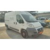 fiat ducato caja cerrada 33 (06.2006 =>) del año 2007