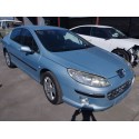PEUGEOT 407 (6D_)