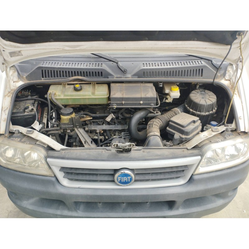 FIAT DUCATO Caja/Chasis (244_) 2004