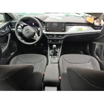 skoda kamiq (nw4) del año 2024