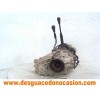 Recambio de caja cambios para nissan pick-up (d22) td doble cabina navara 4x4 referencia OEM IAM   