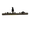 Recambio de rampa inyectora para peugeot 307 (s1) 2.0 hdi cat referencia OEM IAM 9640387980 5WS40002 