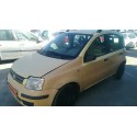 FIAT PANDA (169)