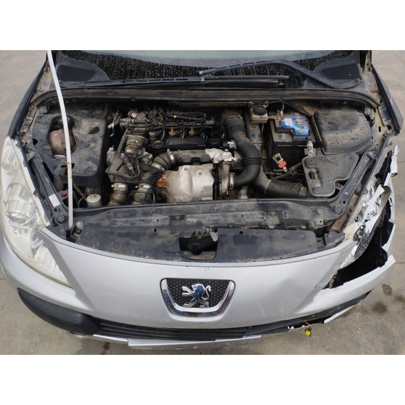 PEUGEOT 307 BREAK/SW (S2) 2007