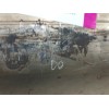 Recambio de catalizador para citroën c4 picasso 1.6 blue-hdi fap referencia OEM IAM F026 S002 