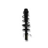 Recambio de amortiguador delantero izquierdo para nissan juke (f16) 1.0 12v cat referencia OEM IAM 543031083R  