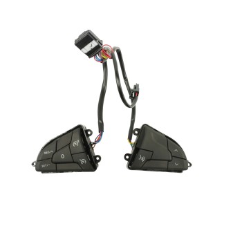 MANDO VOLANTE 255506179R 