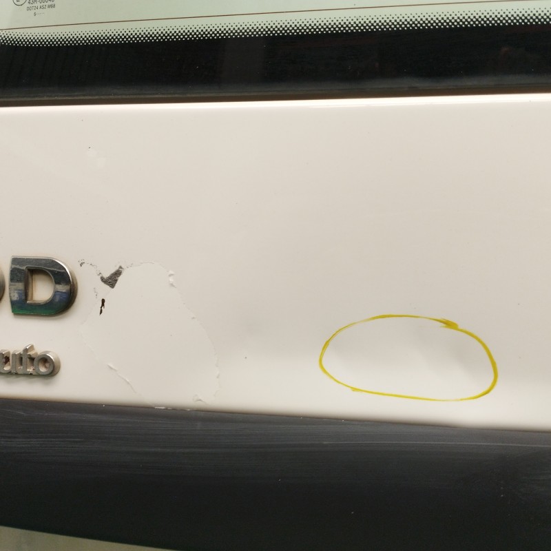 PORTON TRASERO IZQUIERDO OBSERVAR FOTOS