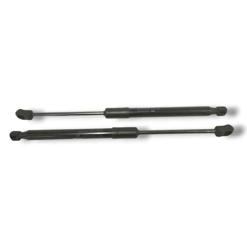 Recambio de amortiguadores capo para tesla model 3 (5yj3) ev referencia OEM IAM 164598900A  