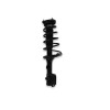 Recambio de amortiguador trasero izquierdo para hyundai tucson (jm) 2.0 cat referencia OEM IAM 553512E501  