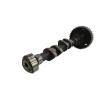 Recambio de arbol de levas para ford focus lim. (cb8) 1.0 ecoboost cat referencia OEM IAM 6A266  