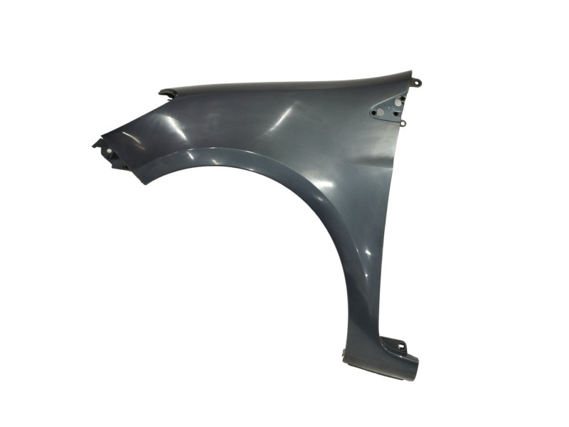 Recambio de aleta delantera izquierda para renault clio iii 1.5 dci diesel cat referencia OEM IAM 631014270R  
