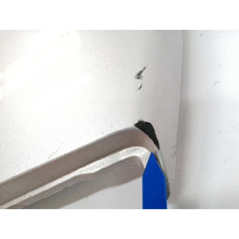 MOLDURA TRASERA PORTON PLATA