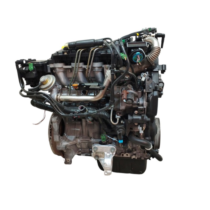 MOTOR COMPLETO INYECCION DELPHI