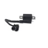 Recambio de bobina alta para benelli bn 125 bn 125 referencia OEM IAM 2301061  