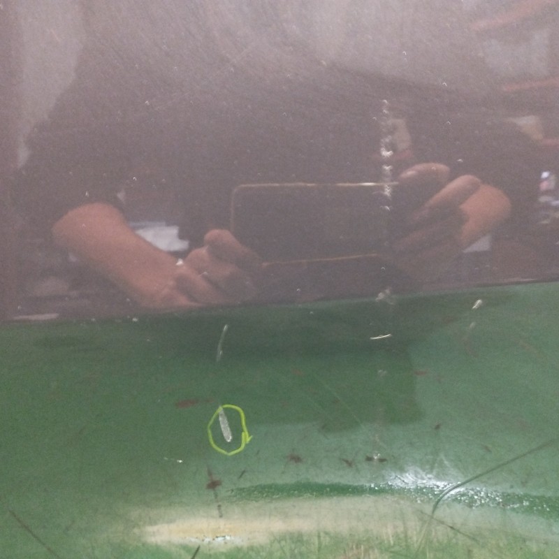 PUERTA TRASERA IZQUIERDA OBSERVAR FOTOS