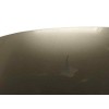 Recambio de capot para renault scenic iii 1.5 dci referencia OEM IAM 651008842R OBSERVAR FOTOS 